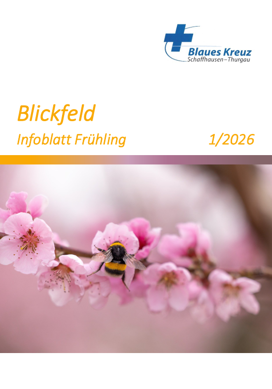 Blickfeld Frühling 2026