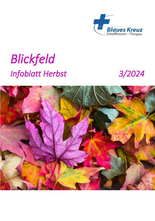 Blickfeld Herbst 2024