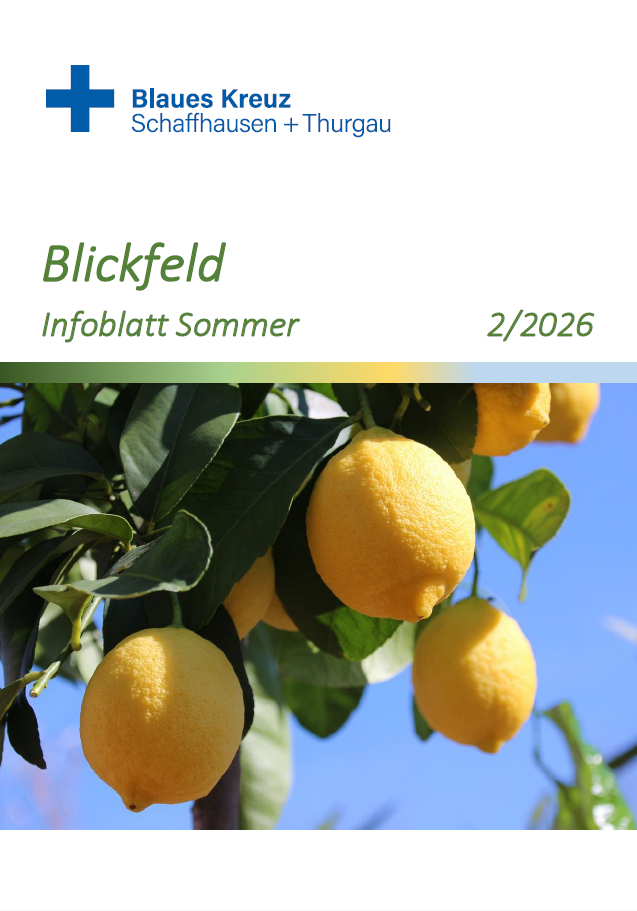 Blickfeld Sommer 2026