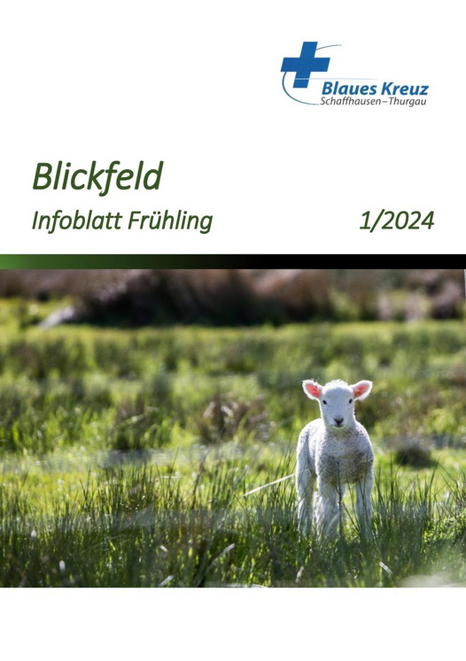 Blickfeld Frühling 2024