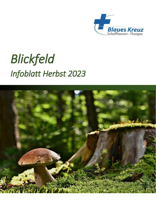 Blickfeld Herbst 2023